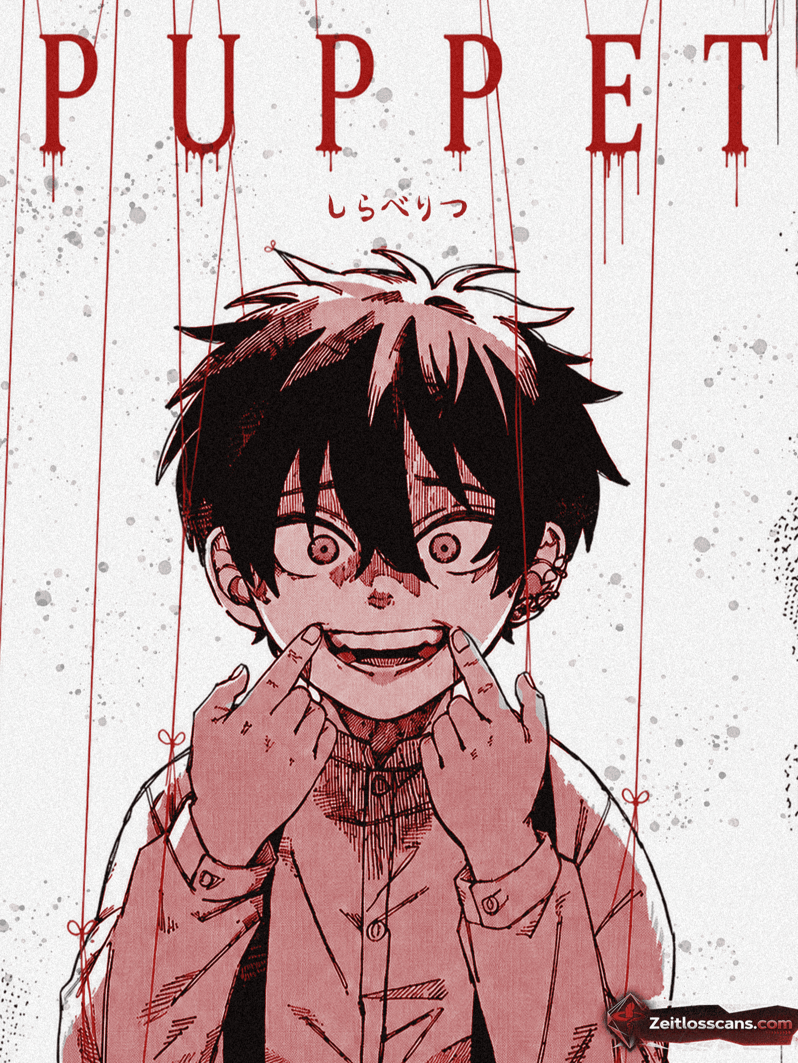 Puppet cover